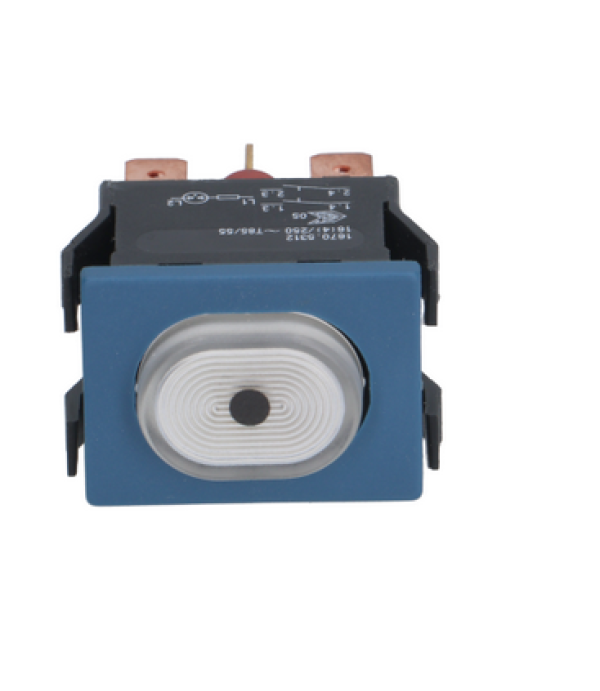 Buton oval program masina spalat vase Winterhalter