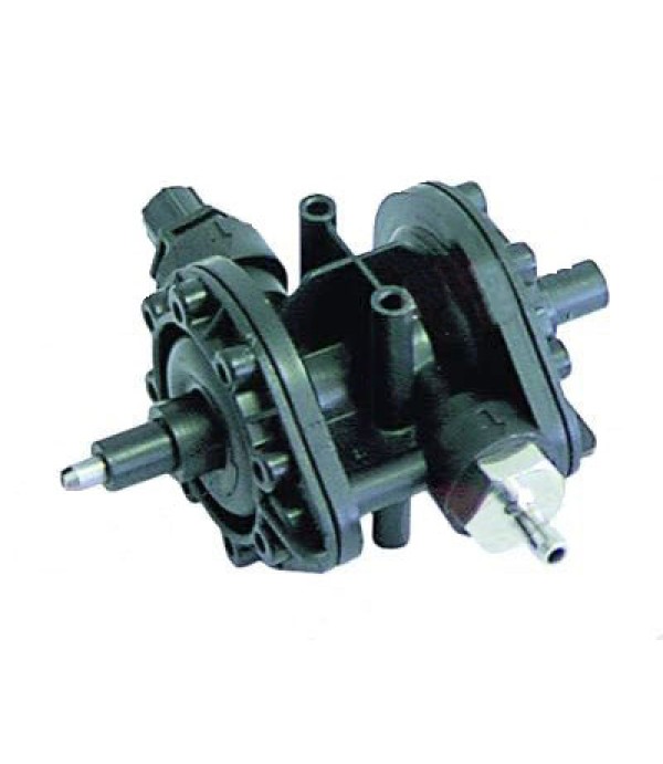 Pompa dozatoare agent de clatire pentru masina de spalat vase, producator LANG tip N6, conexiuni : absorbtie 6x8mm, evacuare 4x6mm. Pentru  FAGOR model AD90, ATA, ANGELO-PO, IBERITAL-MACCHINE, LAMBER, WEGA,DIHR 