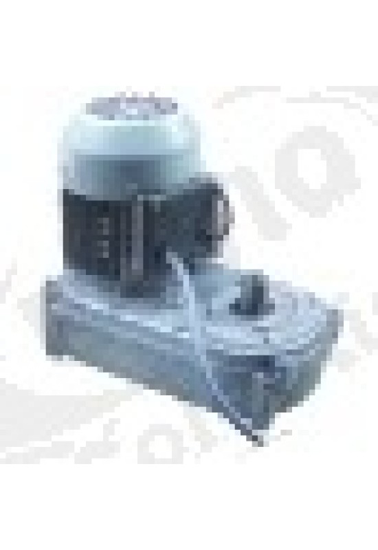 Motoreductor