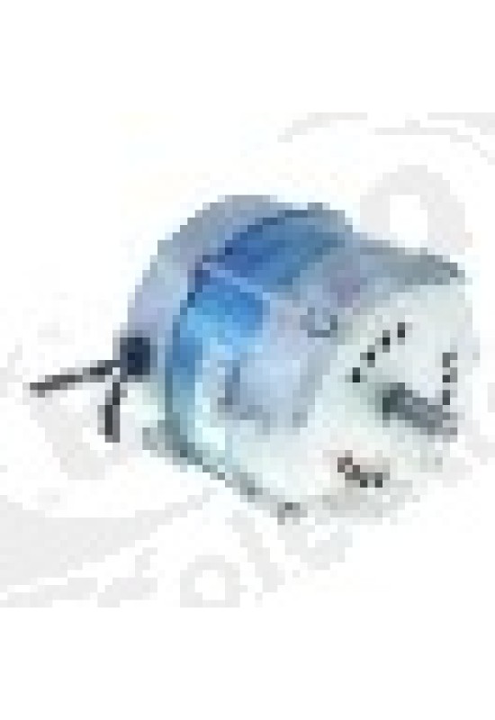 Motor 230/400 V, 50/60 Hz, ax o 16,5 mm