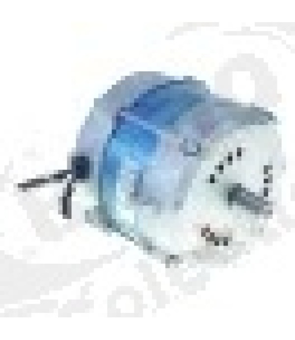Motor 230/400 V, 50/60 Hz, ax o 16,5 mm