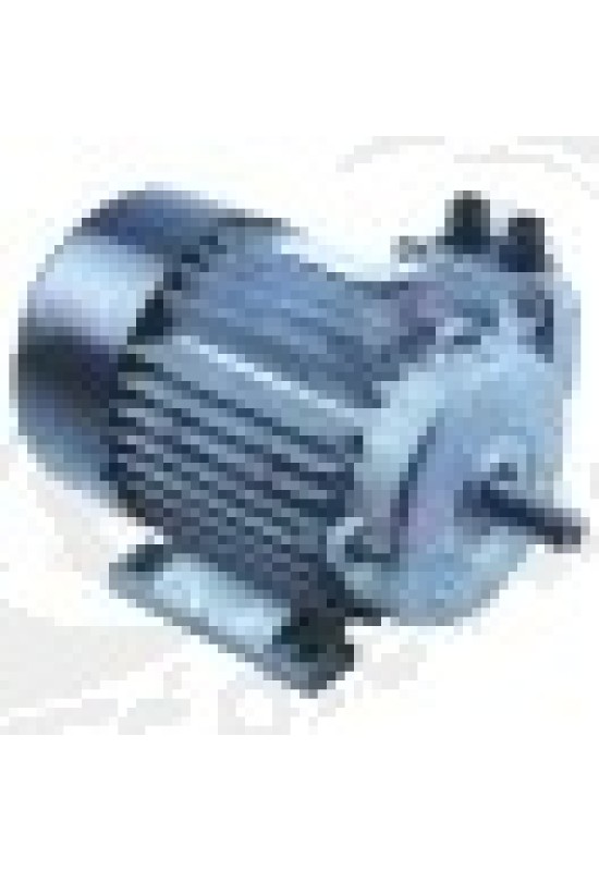 Motor 0,55 kW, 230/400 V, 60 Hz