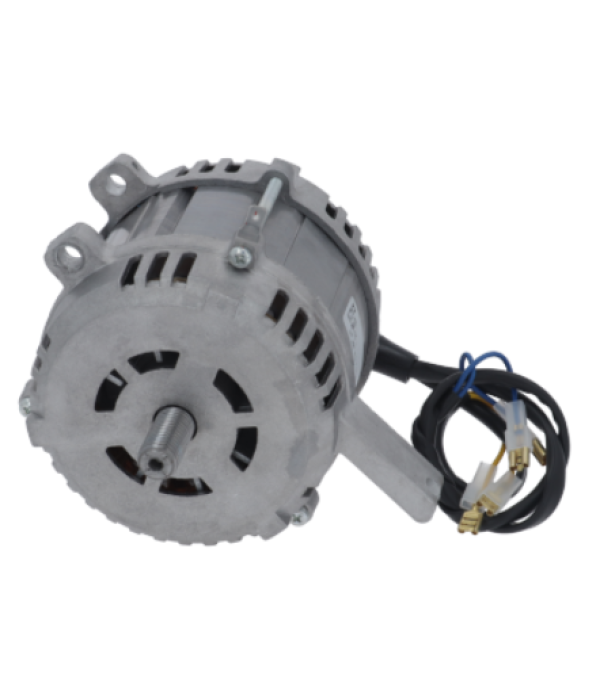 Motor feliator mezeluri RGV, producator Elettromecanica model H60-1150