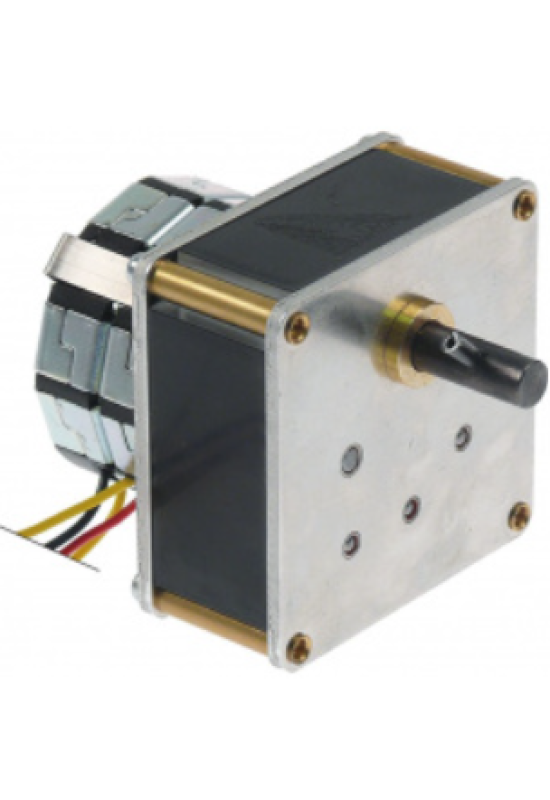 Motoreductor Mechtex 1rpm 230V rotisor Naomi-Grills