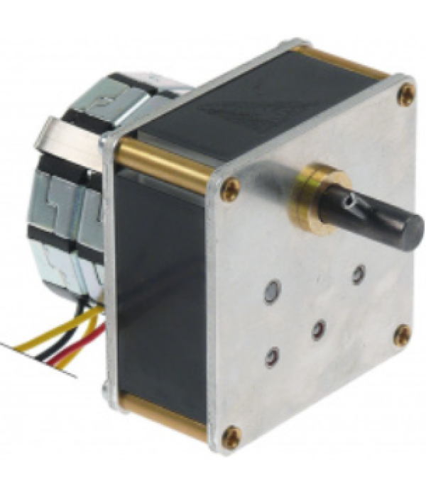 Motoreductor Mechtex 1rpm 230V rotisor Naomi-Grills