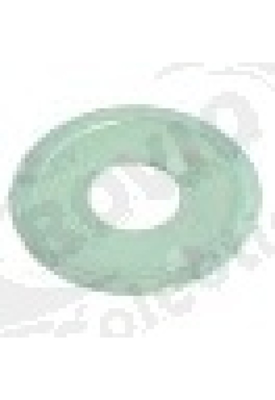 Disc INOX pentru brate de spalare o 50 x 18,2 mm - lamber