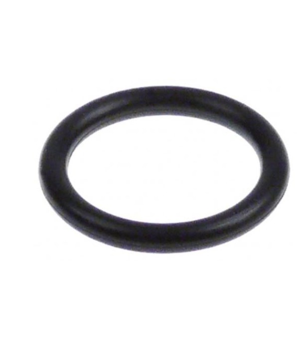 Oring conector furtun camera aer, nivel apa pentru masina spalat  vase Aristarco