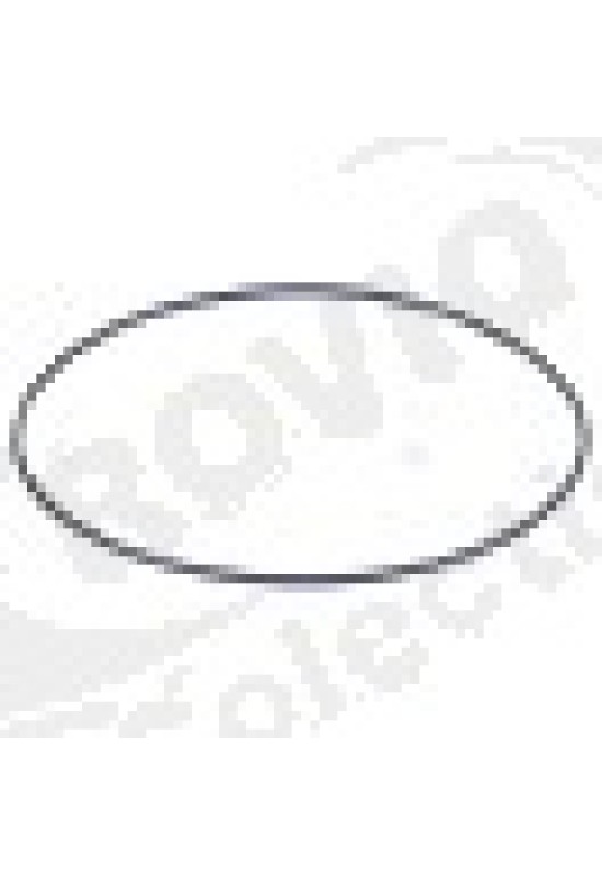 Garnitura capac pompa