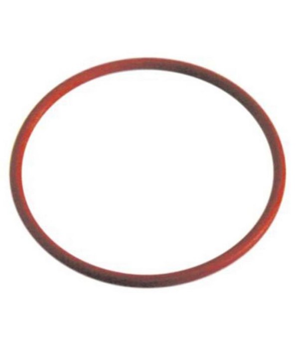 Garnitura boiler expresor RANCILIO SILVIA