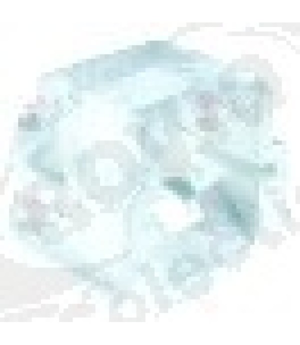 Insulation for discharge chute L 190mm W 200mm