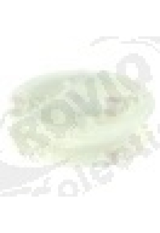 Round belt pulley disc o 49mm single