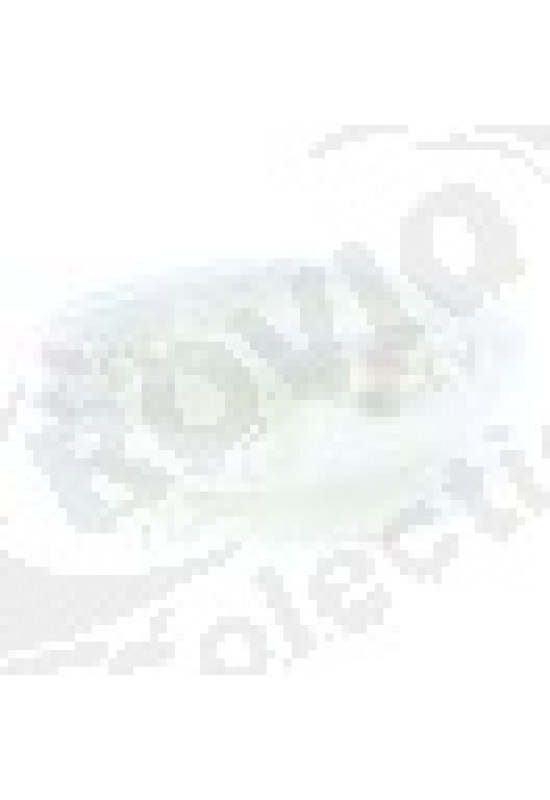 Round belt pulley disc o 61mm shaft intake o 10mm