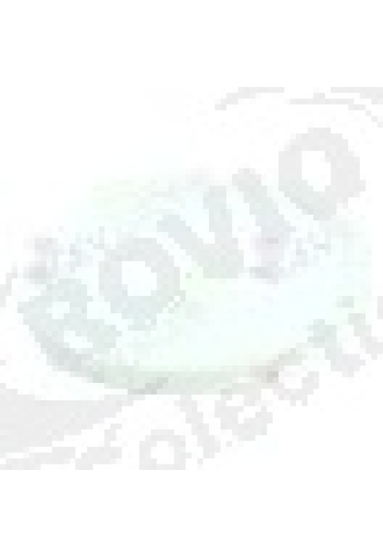 Round belt pulley disc o 124mm single