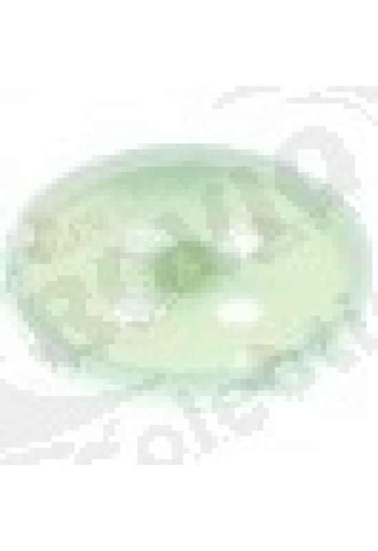 Round belt pulley disc o 129mm single