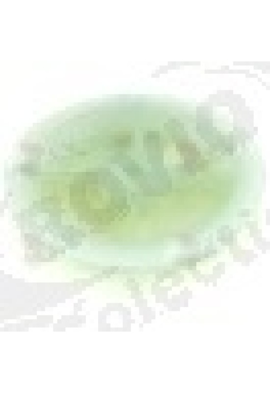 Round belt pulley disc o 62mm single