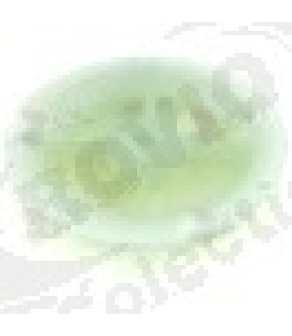 Round belt pulley disc o 62mm single