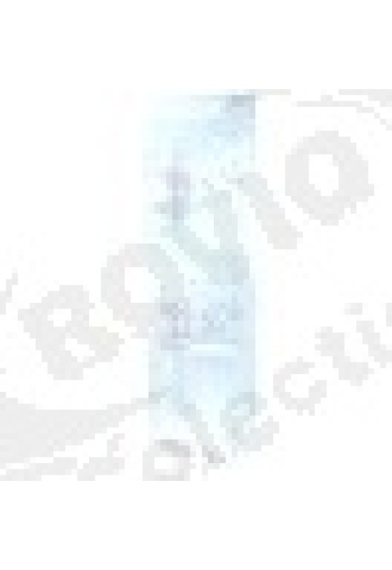 Discharge chute for ice maker L 705mm W 205mm