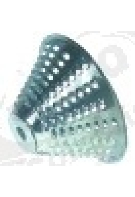Grating disc conical o 156mm H 82mm