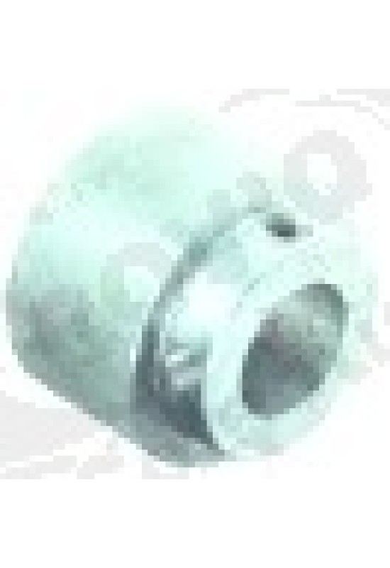 Scripete disc o 55 mm