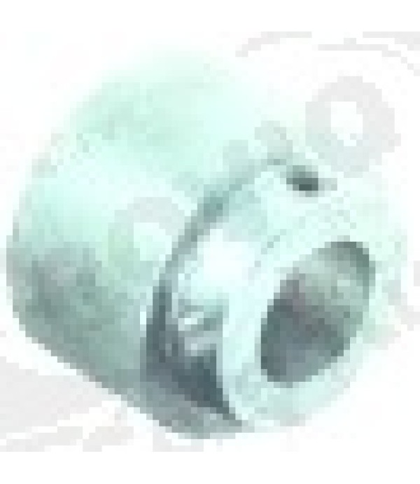 Scripete disc o 55 mm