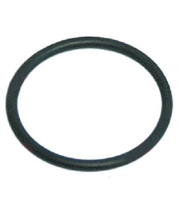 Oring flansa conector gaz MINISIT 710