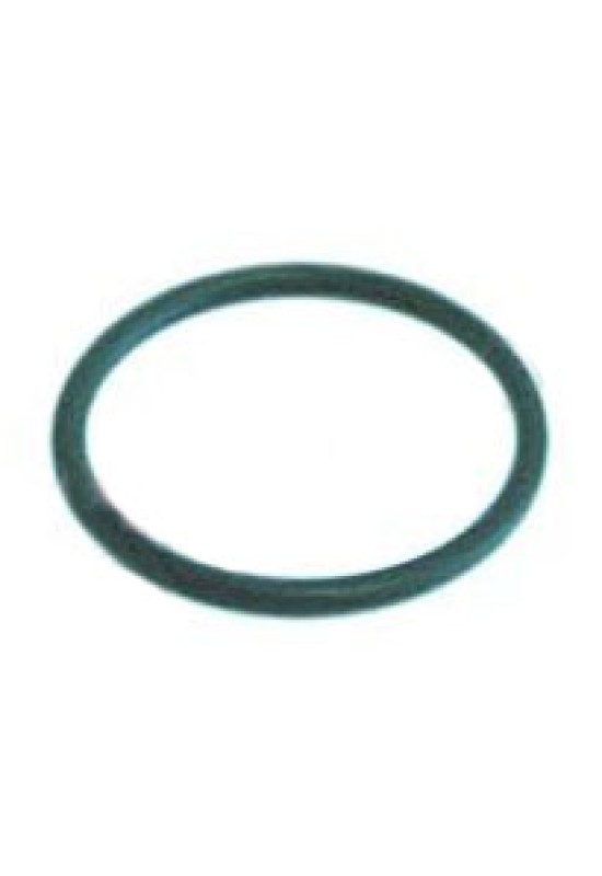 Oring rezistenta masina de spalat vase WHIRLPOOL SILANOS