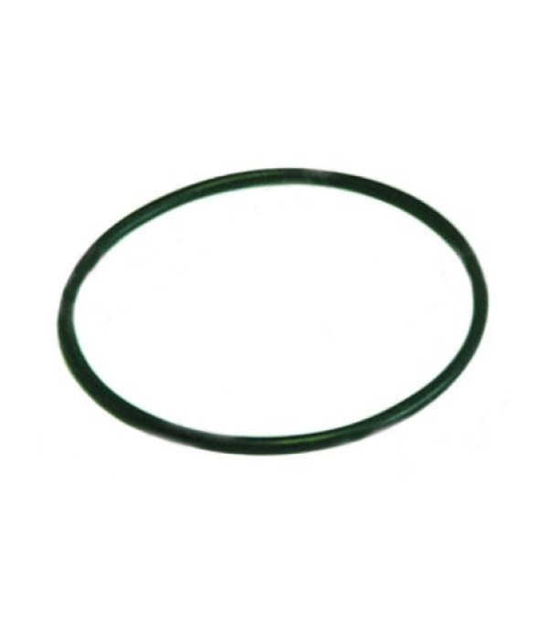 Oring capac pompa ASKOLL tip M231